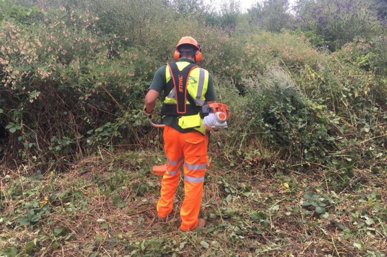 vegetation site clearance