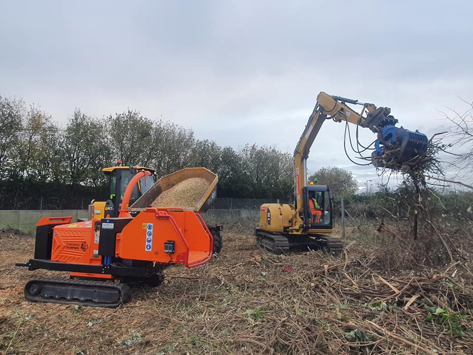 tree-felling-site-clearance-services